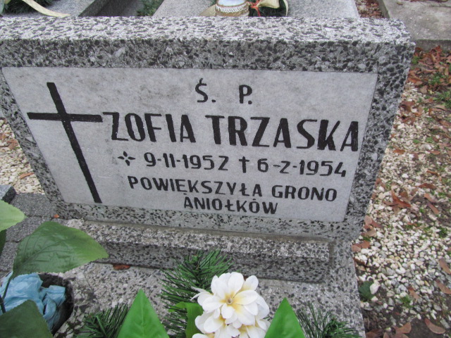 Zofia Trzaska 1952 Oleśnica - Grobonet - Wyszukiwarka osób pochowanych