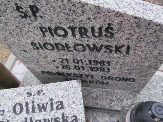 Oliwia Zasada 2007 Oleśnica - Grobonet - Wyszukiwarka osób pochowanych