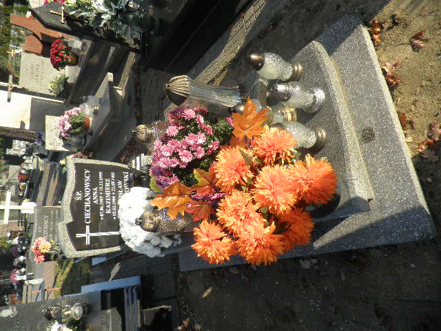 Anna Ciechanowska 1905 Oleśnica - Grobonet - Wyszukiwarka osób pochowanych