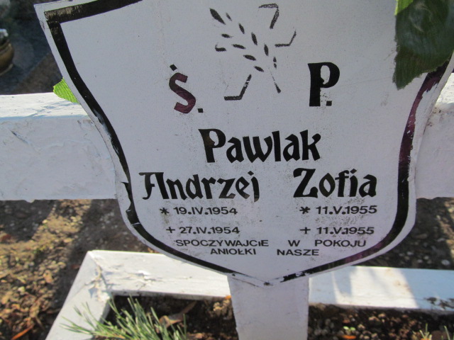 Andrzej Pawlak 1954 Oleśnica - Grobonet - Wyszukiwarka osób pochowanych