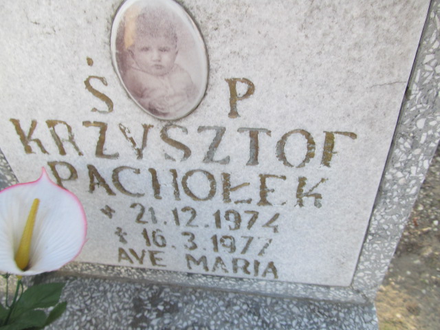Krzysztof Pachołek 1974 Oleśnica - Grobonet - Wyszukiwarka osób pochowanych