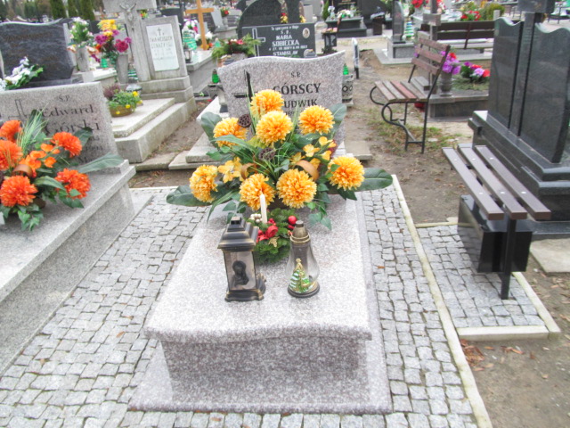 Grób Stanisława Górska