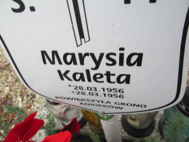 Maria Kaleta 1956 Oleśnica - Grobonet - Wyszukiwarka osób pochowanych