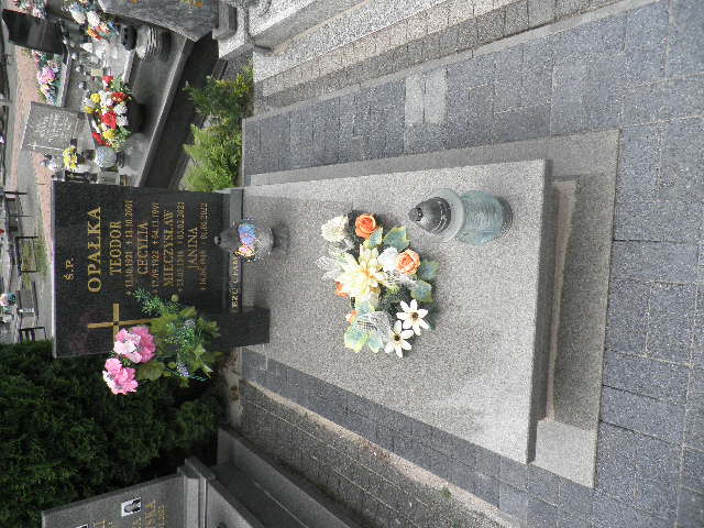 Mieczysław Opałka 1946 Oleśnica - Grobonet - Wyszukiwarka osób pochowanych