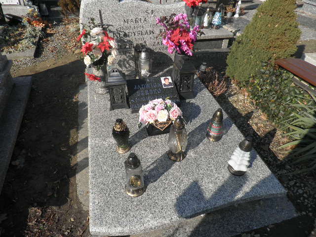 Jadwiga Berbeć  1951 Oleśnica - Grobonet - Wyszukiwarka osób pochowanych