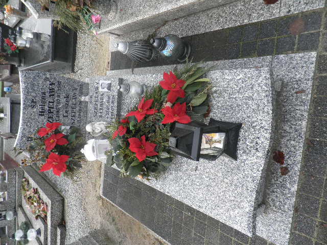 Helena Szepelawy 1895 Oleśnica - Grobonet - Wyszukiwarka osób pochowanych