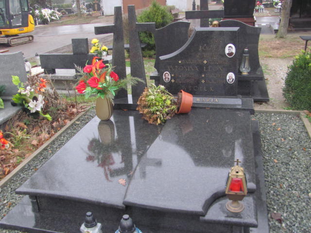 Grób Leon Wiciuk