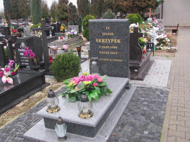 Grób Julian Skrzypek