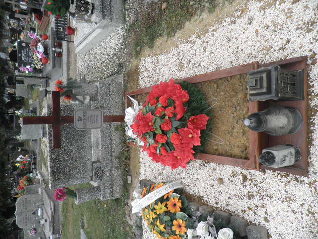 Wacław Wieczorek 1940 Oleśnica - Grobonet - Wyszukiwarka osób pochowanych