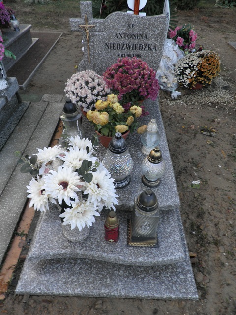Antonina Niedźwiecka 1908 Oleśnica - Grobonet - Wyszukiwarka osób pochowanych