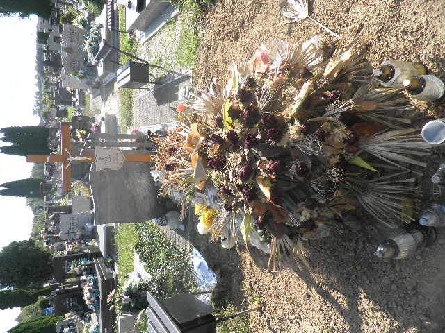 Robert Sawa 1971 Oleśnica - Grobonet - Wyszukiwarka osób pochowanych