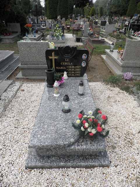 Ryszard Cebula 1957 Oleśnica - Grobonet - Wyszukiwarka osób pochowanych