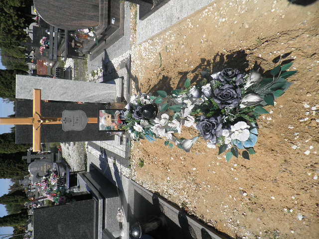 Dawid Tracz 1989 Oleśnica - Grobonet - Wyszukiwarka osób pochowanych