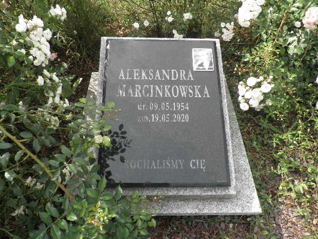 Grób Aleksandra Marcinkowska